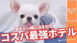 長崎にあるワンちゃんと一緒に泊まれるホテル＆高倉健さんが訪れたカフェに行ってきました。