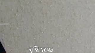 মুষল ধারা বৃষ্টি দৃশ্য। #SodorFishAgro