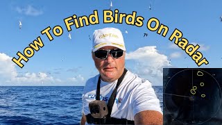 How To Find Birds ➥ Mahi and Tuna, Using Bird Mode On Radar