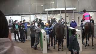 検量室前で勝ったクロパラントゥを迎える藤沢和雄調教師 3歳以上2勝クラス 2021/11/6 東京競馬場 12R