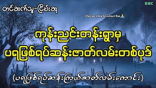 ကုန်းညင်းတန်းရွာမှပရဖြစ်ရပ်ဆန်းဇာတ်လမ်းတစ်ပုဒ်#myanmar #ghost #ပရလောက #horrorstories #audiobooks