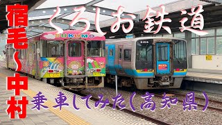 土佐くろしお鉄道、宿毛駅～中村駅まで乗車。車窓から見る小雨の田園風景（観光）。