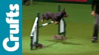 Agility - ABC - Jumping - Crufts 2012