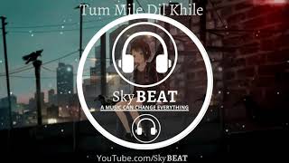 Sad Song |Tum Mile Dil Khile (8D Audio)  | 3D Surrounded Song | Use Headphones🎧 | Sky BEAT Official