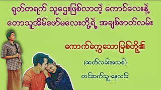 ကောက်ကွေ့သောမြစ်#နေလင်း #မြန်မာအသံစာအုပ်များ #ရသ#အချစ်#အိမ်ထောင်ရေး#novel #myanmaraudiobook