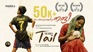 THE DOG'S TAIL | 4K MALAYALAM SHORTFILM |RASI FATHIMA | IDUKKIGOLD PRODUCTIONS|SHOBRA ENTERTAINMENTS