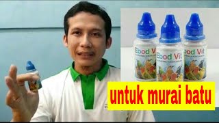 Ebod vit vitamin untuk murai batu