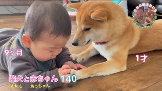 今日も一緒に過ごしました（坊っちゃんゴキゲンver.）👶🏻🌀🐕柴犬と赤ちゃんの日常140