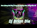 Duo Xiang Zai Ping Yong De Sheng Huo Yong Bao Ni 多想在平庸的生活擁抱你 Remix By Dj Brian Bie