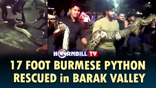 17 FOOT BURMESE PYTHON RESCUED in BARAK VALLEY