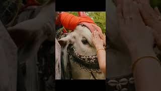 Karthikeya 2 (Telugu) Theatrical Trailer Nikhil, Anupama Parameshwaran, Anupam Kher | Zee Cinemalu