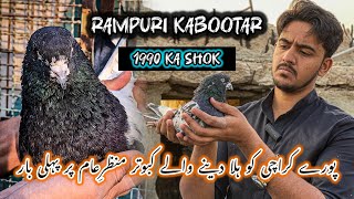 Karachi ka pehla rampuri kabootar ka ghar manzar e aam per || kitna sach janne k liye video dekhen