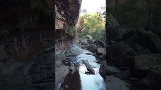 #the #drip #nsw #2850 #australia #beautiful #nature #shorts #video