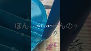 #主婦の日常 #コストコ　#ウォーターテーブル　#水遊び　　もうすぐお誕生日！！悩み続けて3年たってやっと導入した。コストコウォーターテーブル足が外れるようになってます！