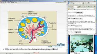 Introduction to Immunology (Christina Ciaccio, MD)