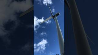 Wind mills up close #shorts