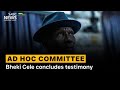Ad Hoc Committee | Bheki Cele concludes testimony