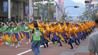 東京花火 第16回湘南よさこい祭り