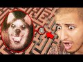 Do NOT Enter SMILE DOG MAZE... (Scary)