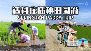 适耕庄插秧田园游 Paddy Transplanting + 稻米展览馆 Paddy Gallery 🌾