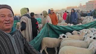 اليوم من سوق اثنين قلعة السراغنة 10/02/2025 مع الاثمنة 🐐🐏🐑  #حولي_السرتي  #قلعة_السراغنة