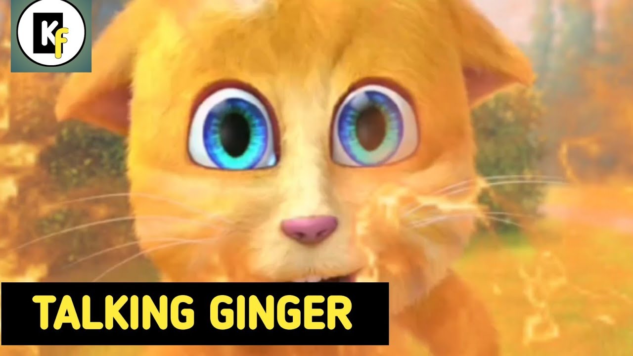 Talking Ginger Youtube