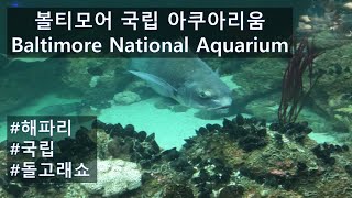 해파리 천국! 물고기 천국! - 미국 볼티모어 국립 아쿠아리움