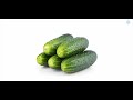 Vegetables Flashcards with Glenn Doman Method: Boost Early Learning and Vocabulary Development