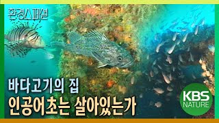 인간과 바다를 만나게 해주는 인공어초. 긴급 점검! 인공어초 설치 후 34년! 현실은? [환경스페셜-바다고기의 집, 인공어초는 살아있는가] / KBS20050706 방송