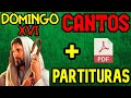 🎹✝ Esquema COMPLETO DE CANTOS para el DOMINGO XVI DEL TIEMPO ORDINARIO ✝🎹 | INCLUYE PARTITURAS PDF 📃