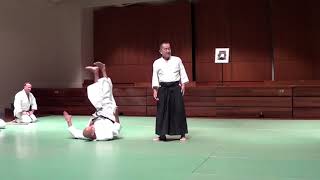 Chida Tsutomu Soke Renshinkai Aikido