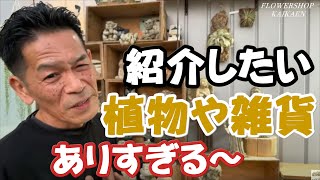 紹介したい植物や雑貨がありすぎて…伝えたい事がありすぎ  岐阜農場　植物家族【おうちでガーデニング】開花園チャンネル