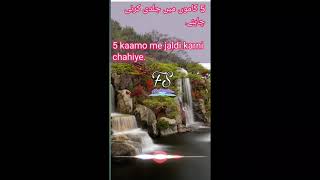 5 کاموں میں جلدی کرنی چاہئے.5 kaamo me jaldi karni chahiye.by hafiz Faizan Sayeed. #shorts