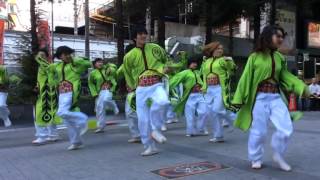 こいや祭り 2015 天鵝絨 京橋会場