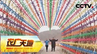 《农广天地》 20180304 特别的灯节 特别的太师屯 | CCTV农业