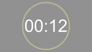 12 SECONDS - 4K - COUNTDOWN IN REVERSE - SECOND TIMER -