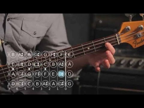 How To Play A B Major Scale | Bass Guitar - YouTube