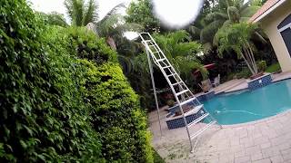 Hasegawa tripod ladder \u0026 stihl articulating hedge trimmer in action