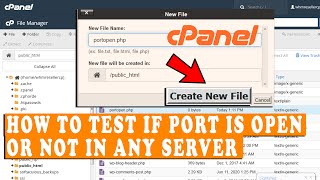 How to test if a port is open or not on any server?
