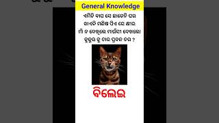 ଏମିତି ବାଘ ସେ ଛାଡେ ନା ଘର ଖାଏନି ମଣିଷ ପିଏ ସେ କ୍ଷୀର ମାଁ ନ ଦେଖିଲେ ମାଉସୀ ଦେଖିଲୋ କୁକୁର କୁ ତାର ପ୍ରବଳ ଡର?