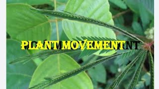 Plants Movement, Hygroscopic Movement, Tactic ,Nastic,Geotropism in Plants.