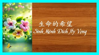 Hy vọng của sinh mệnh - 生命的希望 : Học Tiếng Trung - Chữ Hán Việt- Chữ Phồn Thể qua bài hát