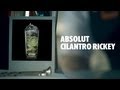 ABSOLUT CILANTRO RICKEY DRINK RECIPE - HOW TO MIX