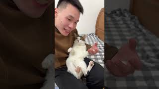 好爱我的猫 它真的好像个小宝宝