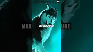 Become like wolf if not lion🔥🔥| inspirational quotes | Motivational status #shorts