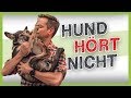 Dein Hund IGNORIERT dich? ▶︎ Strategien wie dein Hund wieder auf dich hört