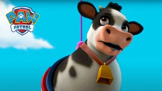 Keep it Mooo-ving! - PAW Patrol Episode - Cartoons for Kids Compilation