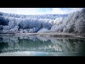 霧氷が輝く初冬の聖高原・4k