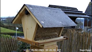 Vogelfutterhaus selber machen