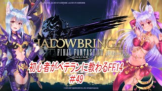 【FF14】狐夫婦、夫が妻に教わりながらすすめるFF14#49【VTuber】